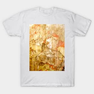 Nature's Abstract Art T-Shirt